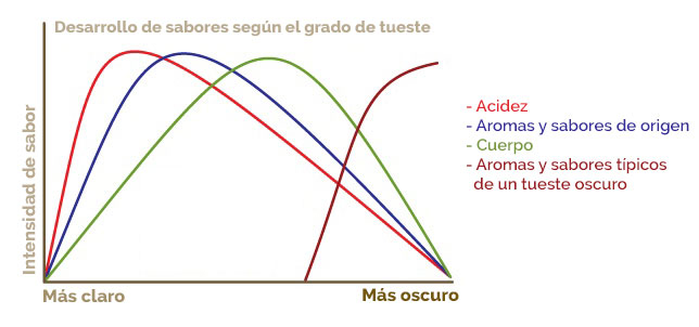 curva tueste del café